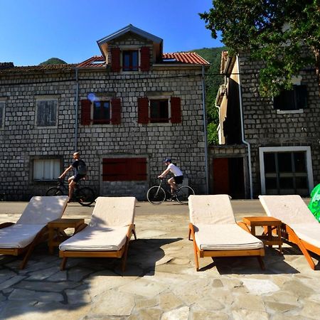 A Hundred Olive Trees Apartments Kotor Luaran gambar
