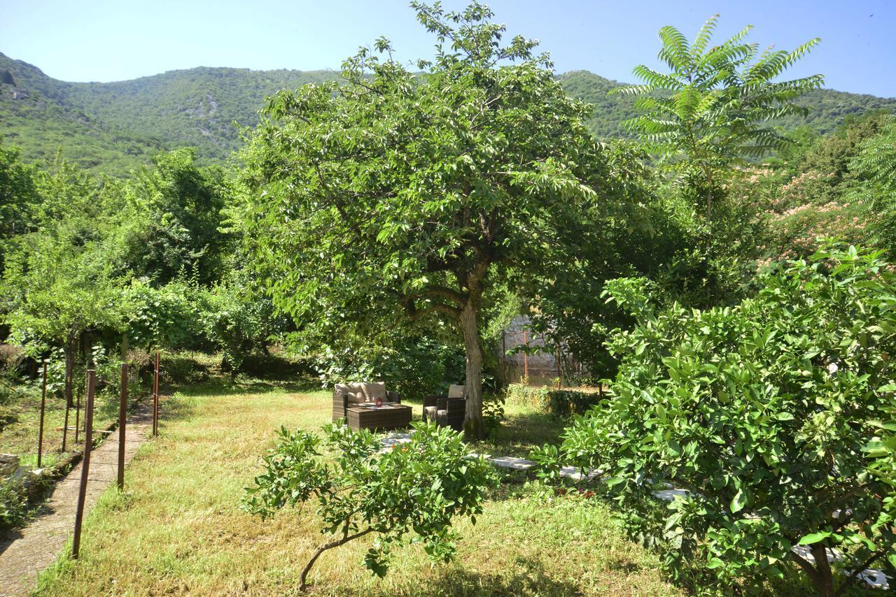 A Hundred Olive Trees Apartments Kotor Luaran gambar