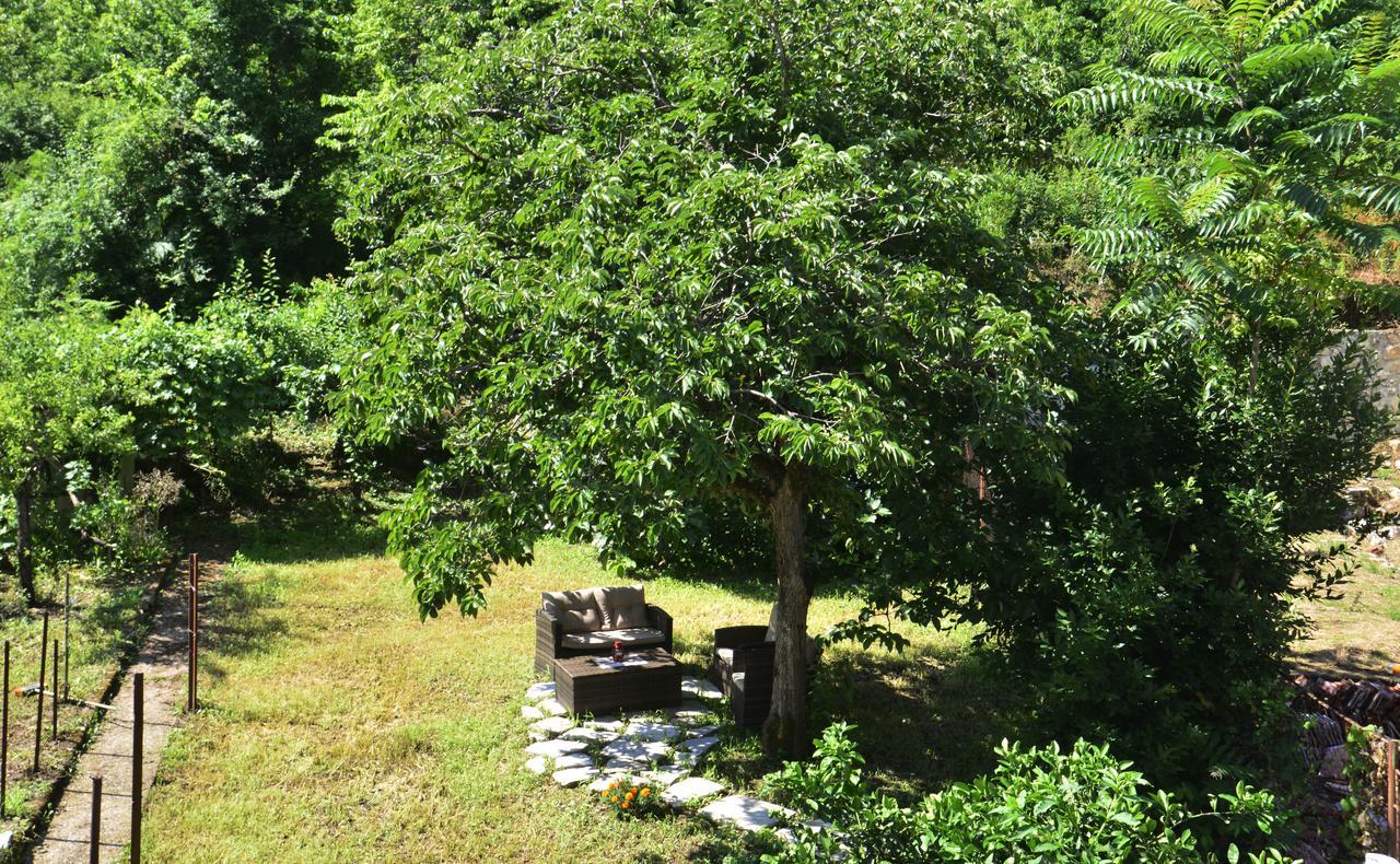 A Hundred Olive Trees Apartments Kotor Luaran gambar