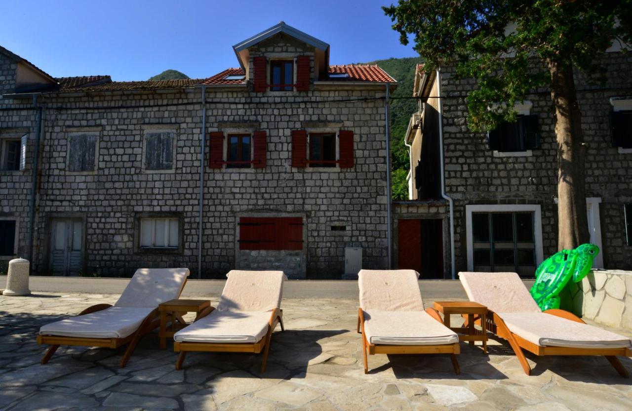 A Hundred Olive Trees Apartments Kotor Luaran gambar